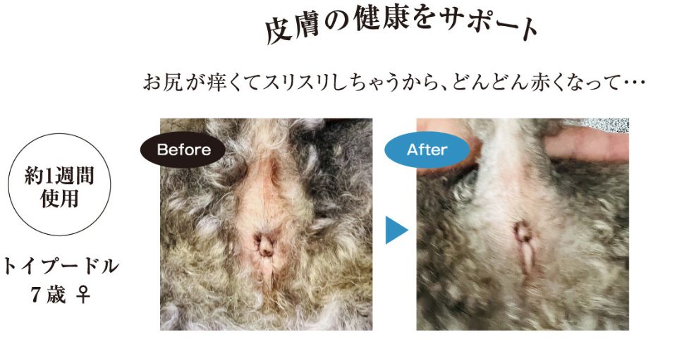 お尻が痒くてスリスリしちゃうから、どんどん赤くなって・・・