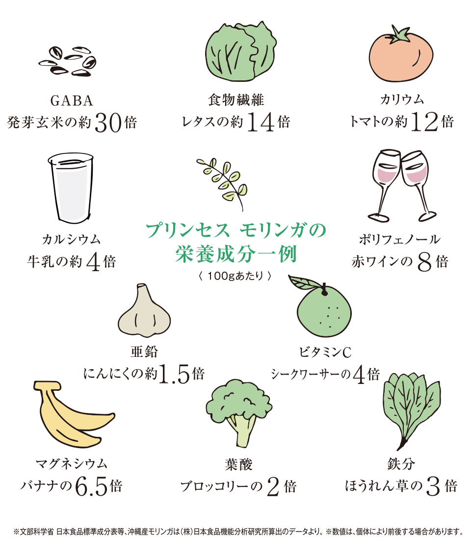 PRINCESS MORINGA（プリンセスモリンガ）の栄養成分一例